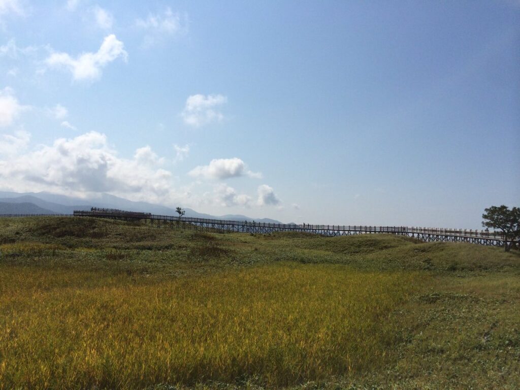 知床五湖の電気柵付き高架木道