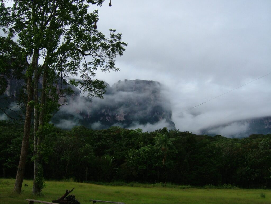 ギアナ高地で迎えた清々しい朝
