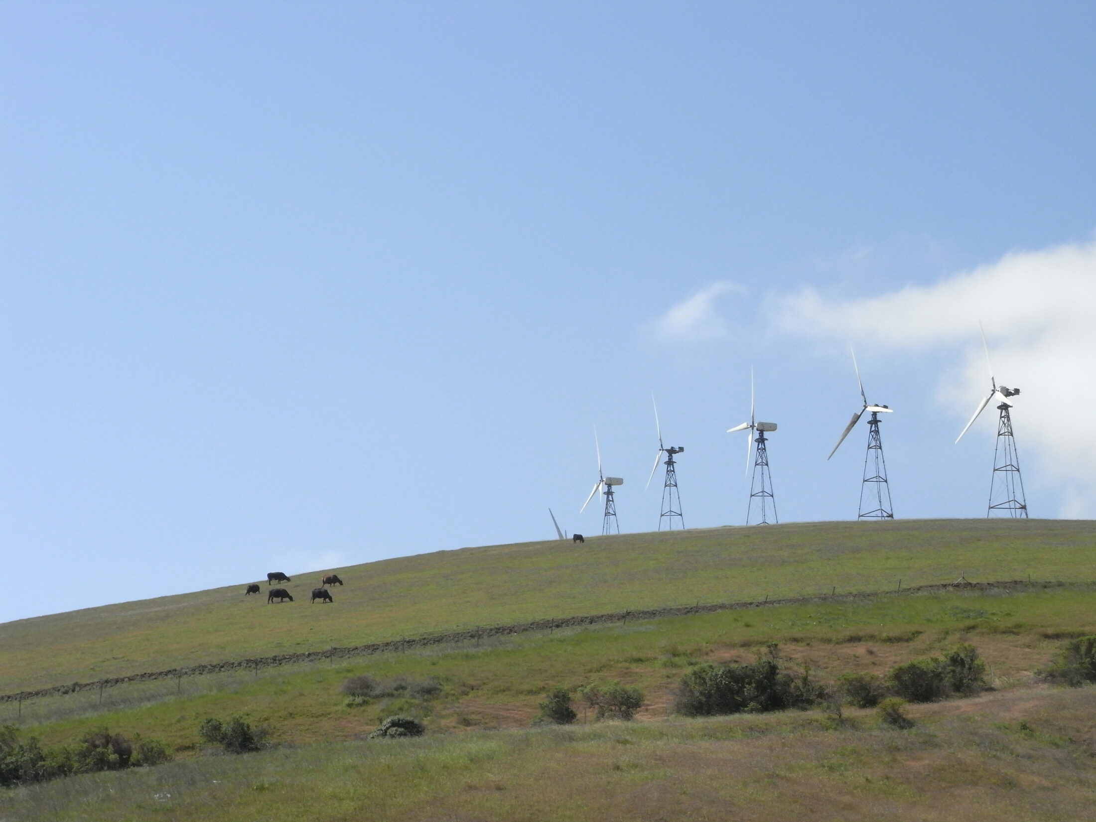 風力発電ファーム「Altamont Pass Wind Farm」