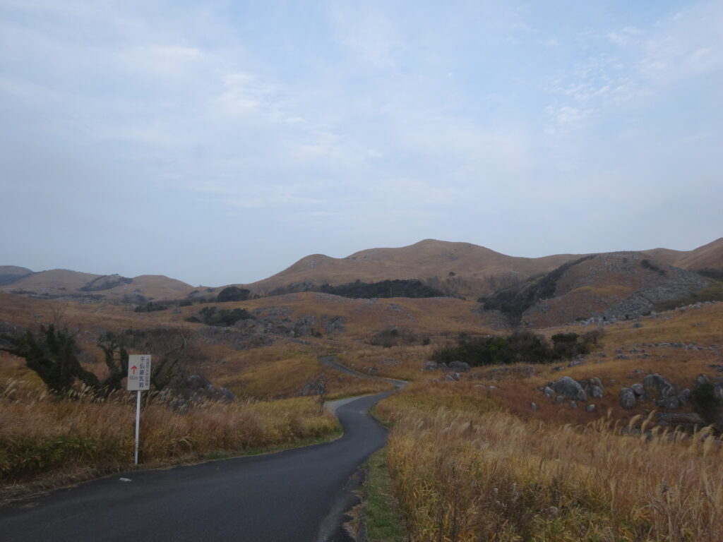 約200ヶ所の鍾乳洞があるといわれるカルスト台地「平尾台」