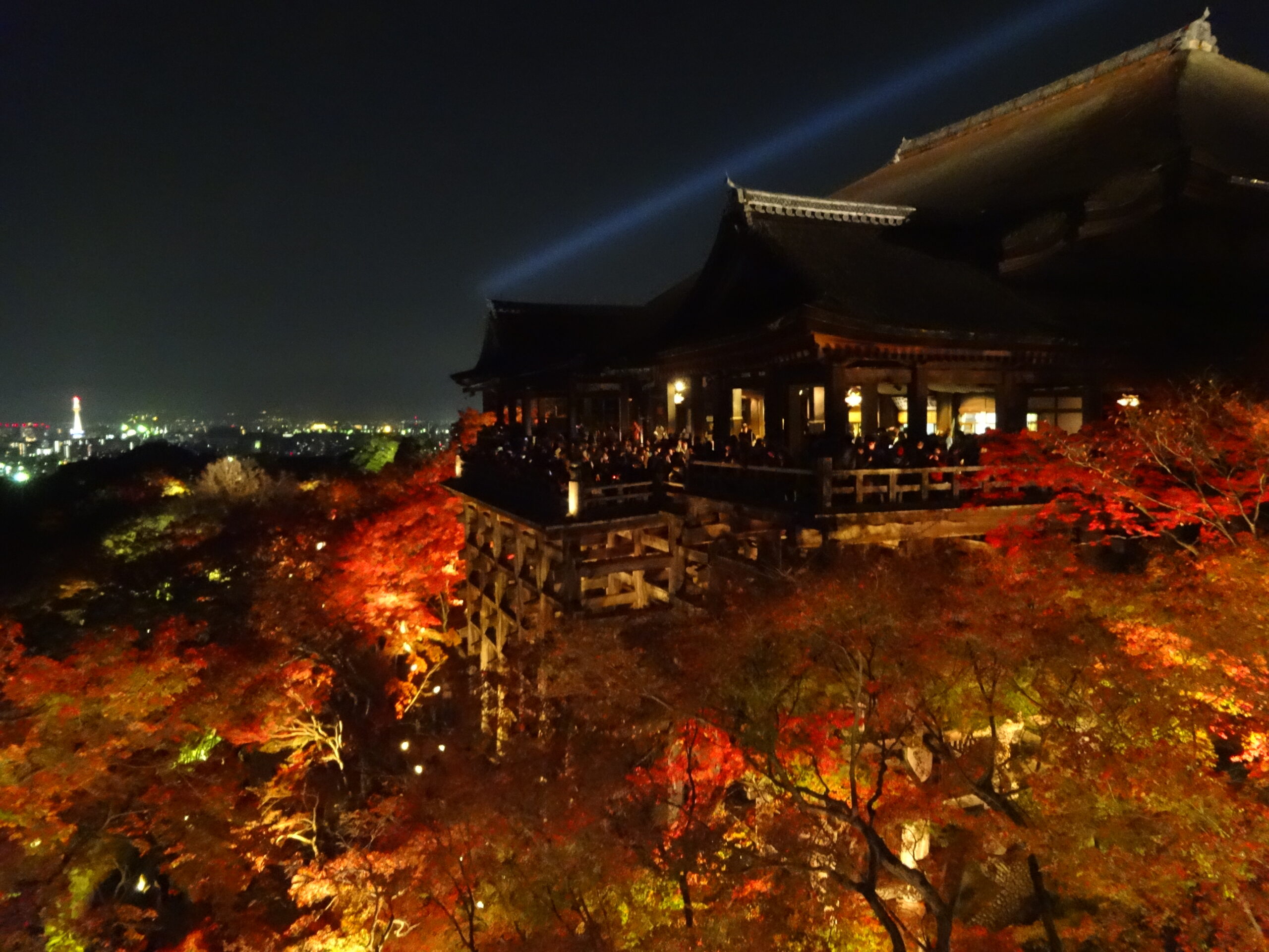 清水寺夜間特別拝観