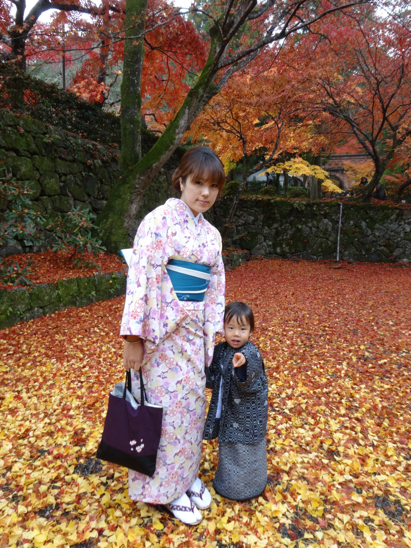 京都・南禅寺の山門と紅葉