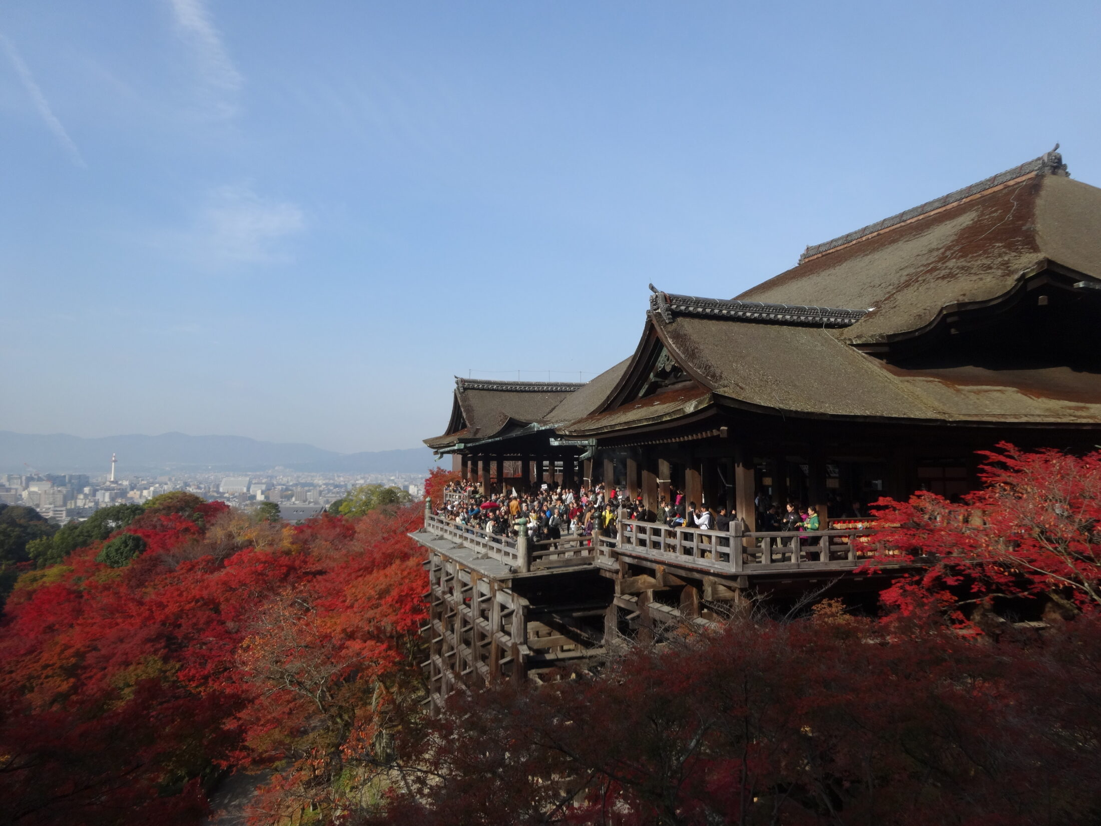 京都・清水寺の紅葉