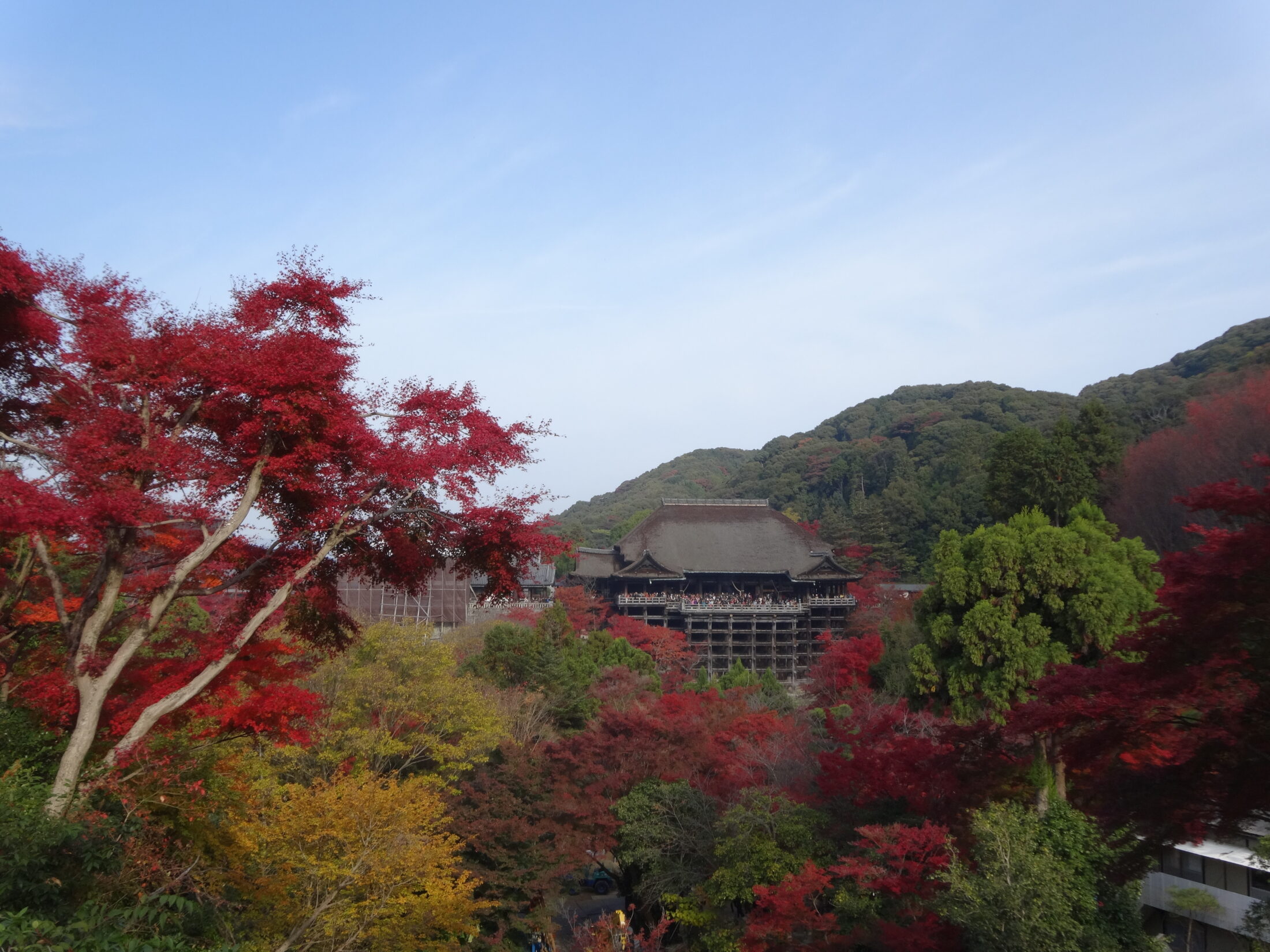京都・清水寺の紅葉