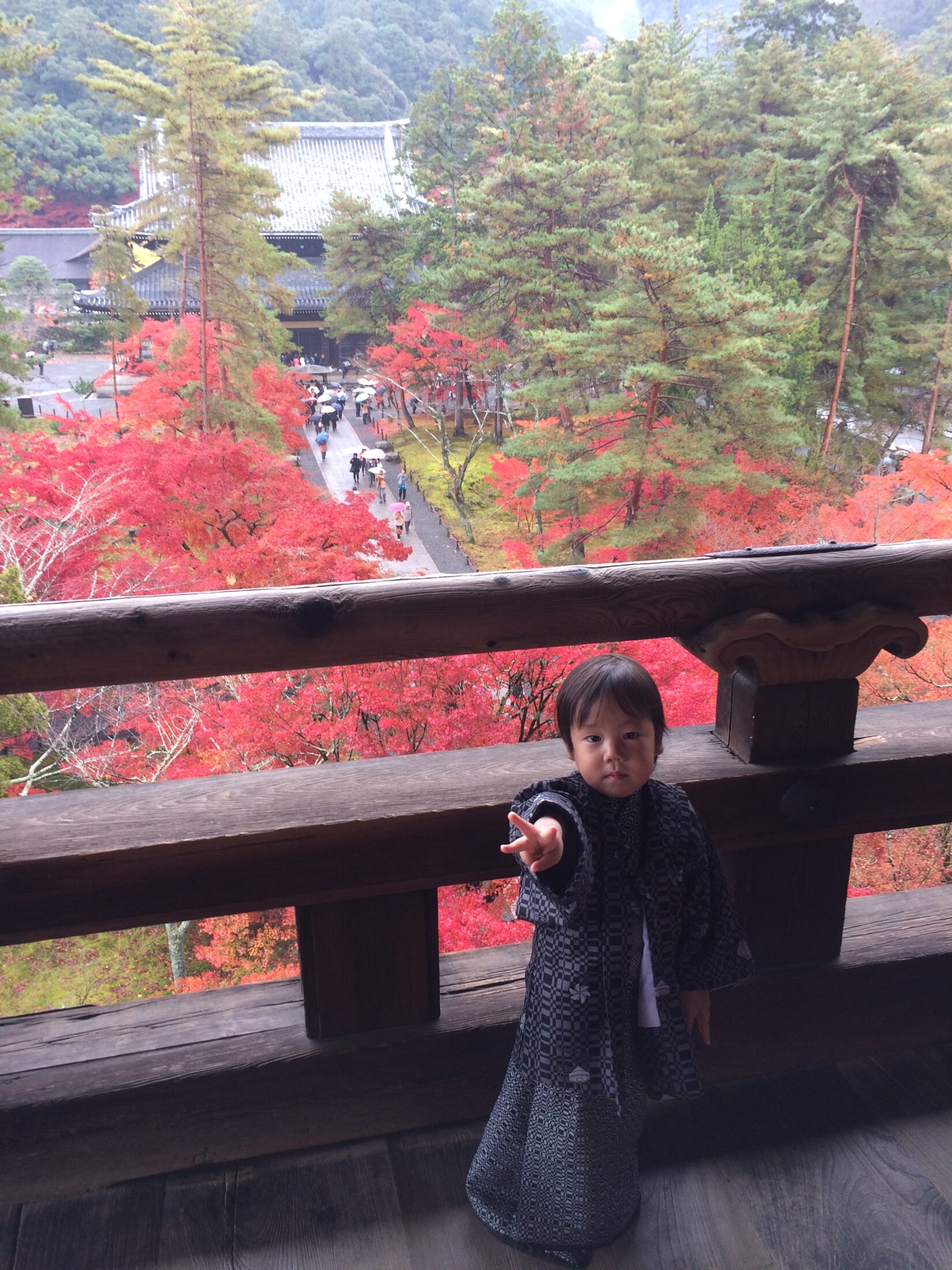京都・南禅寺の山門と紅葉