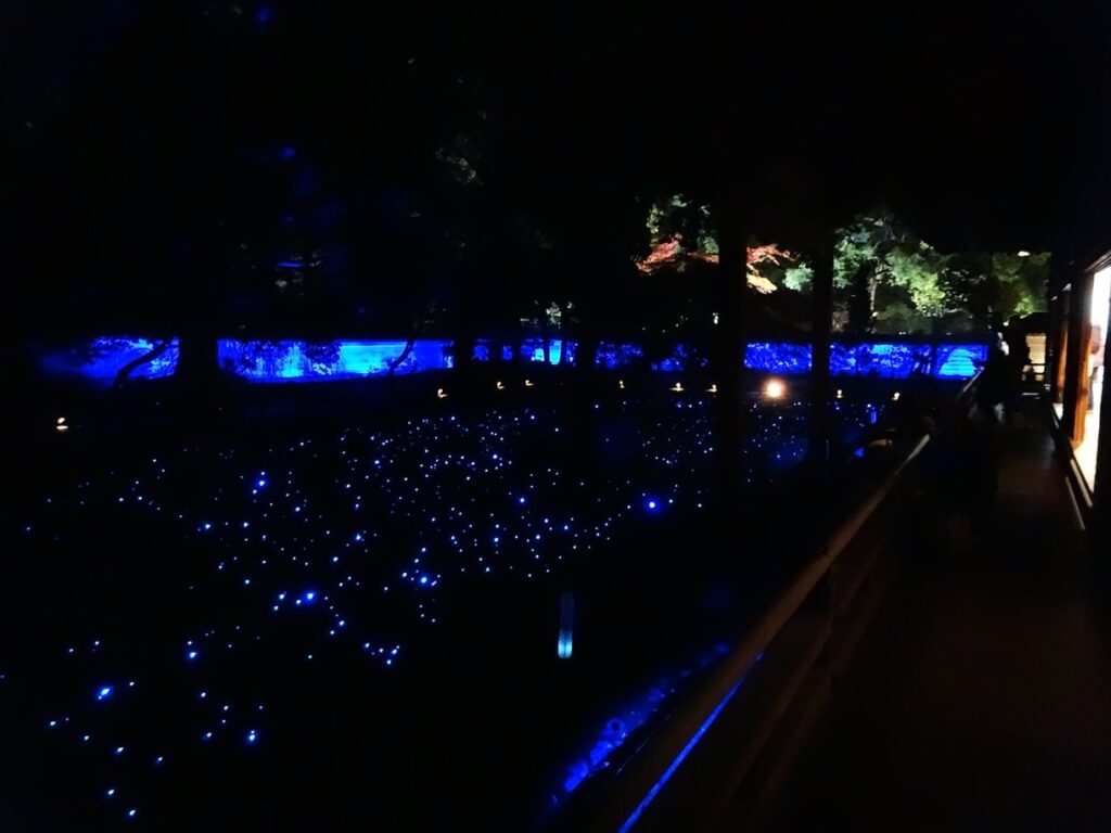 京都・幻想的な青いライトアップで知られる青蓮院門跡