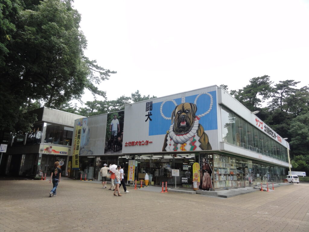 高知・土佐闘犬ショー