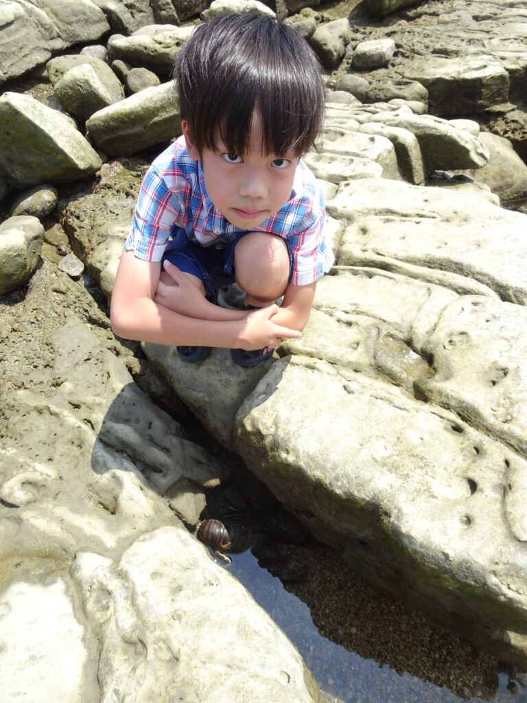 鬼の洗濯板の岩場