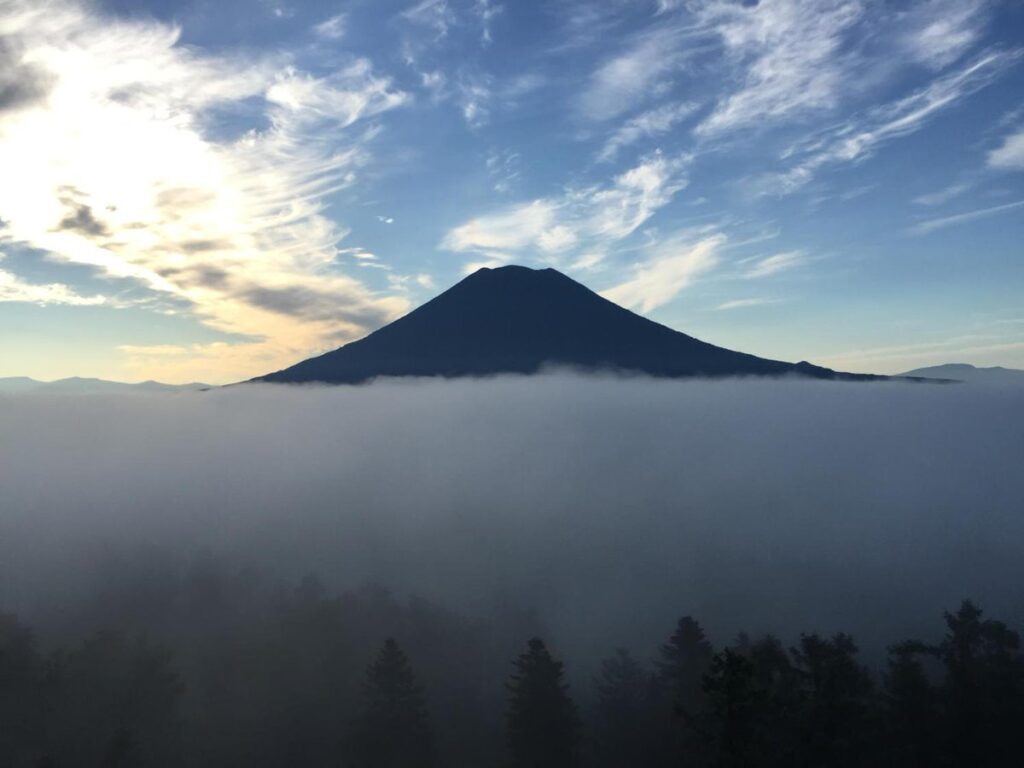 今朝は最高のスタート