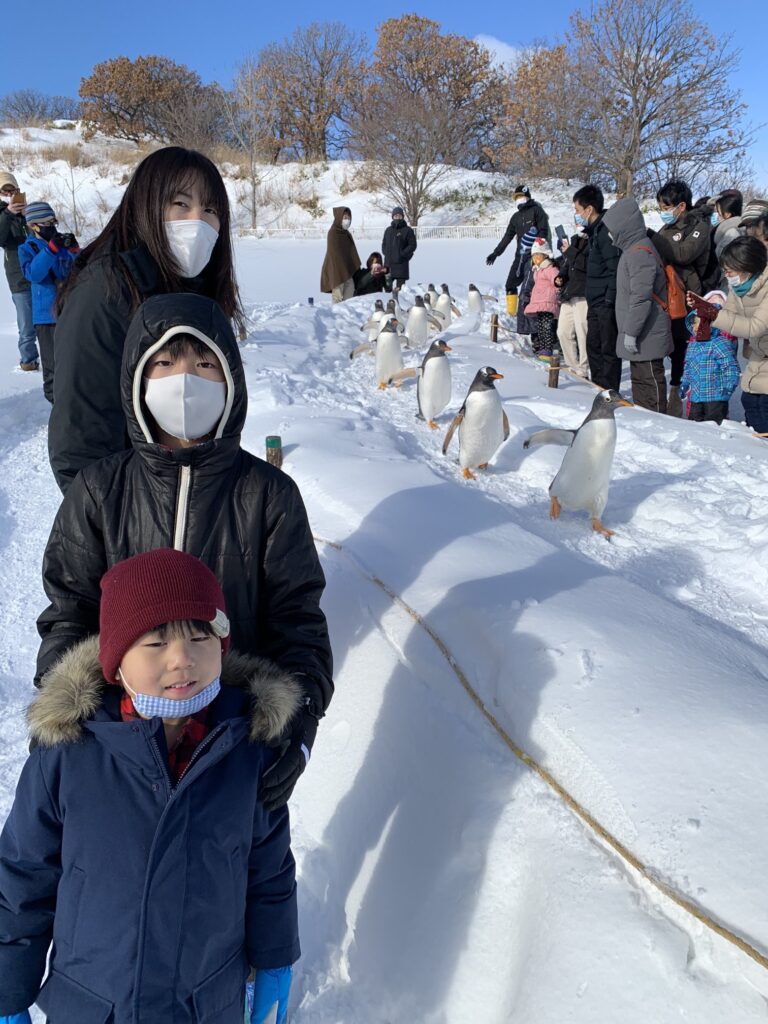 おたる水族館とペンギンの雪中さんぽ