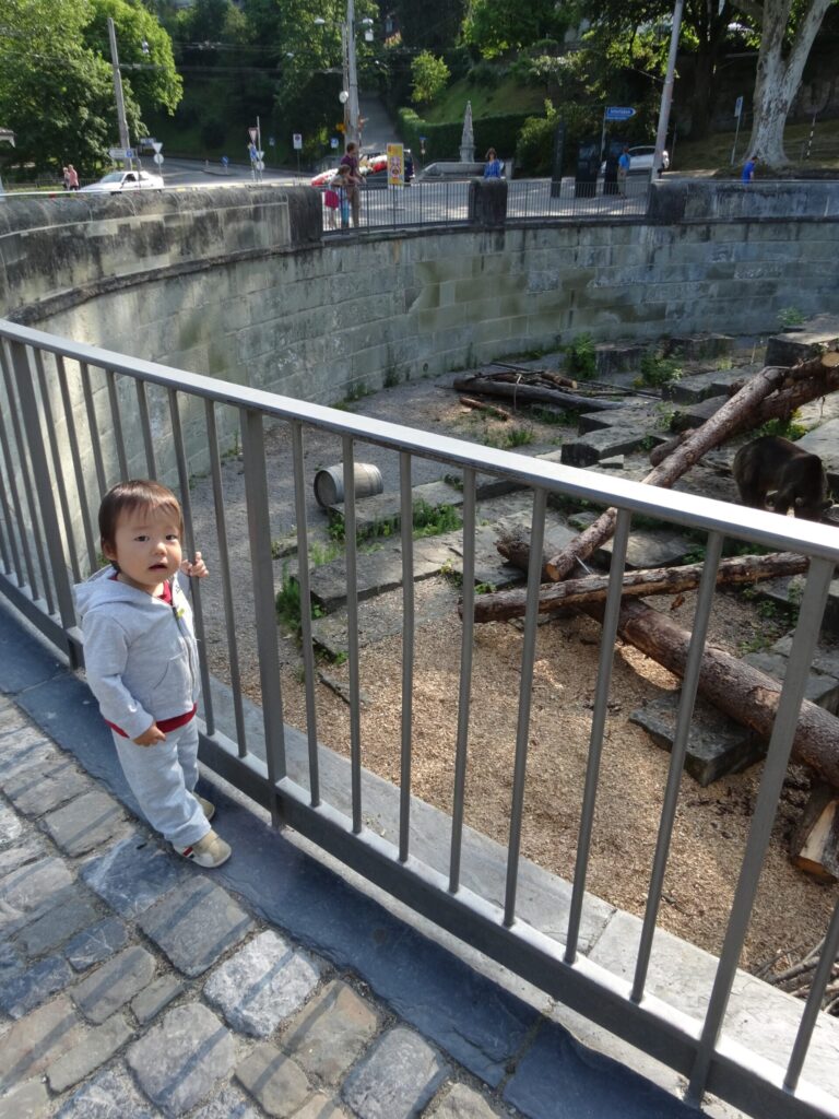 ベルン旧市街のニーデック橋近くにある熊公園