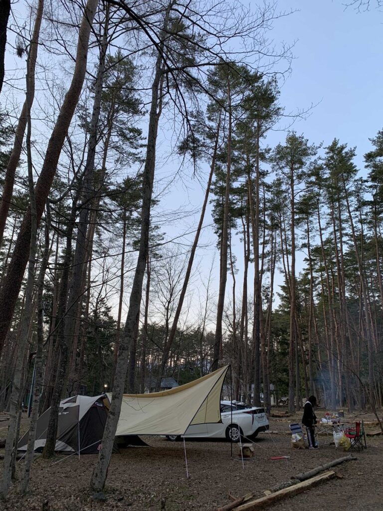 夕暮れの森と湖の楽園キャンプ場