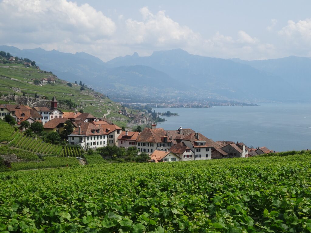 世界遺産「ラヴォー地区の葡萄畑」