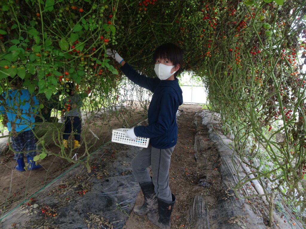 十勝ガールズ農場まるごと食農体験ツアー