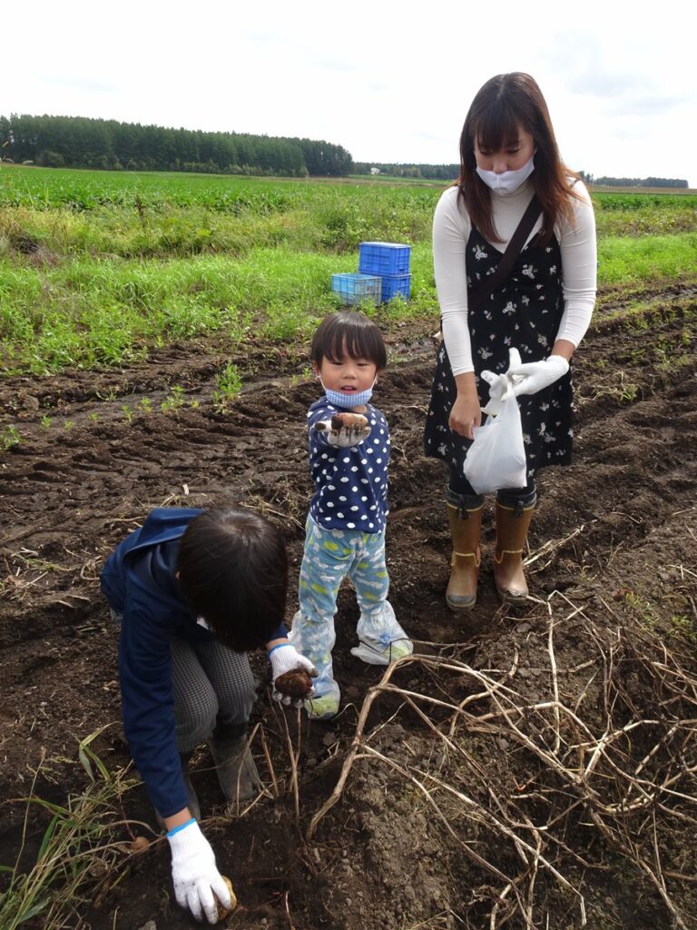 十勝ガールズ農場でトウモロコシやジャガイモの収穫体験