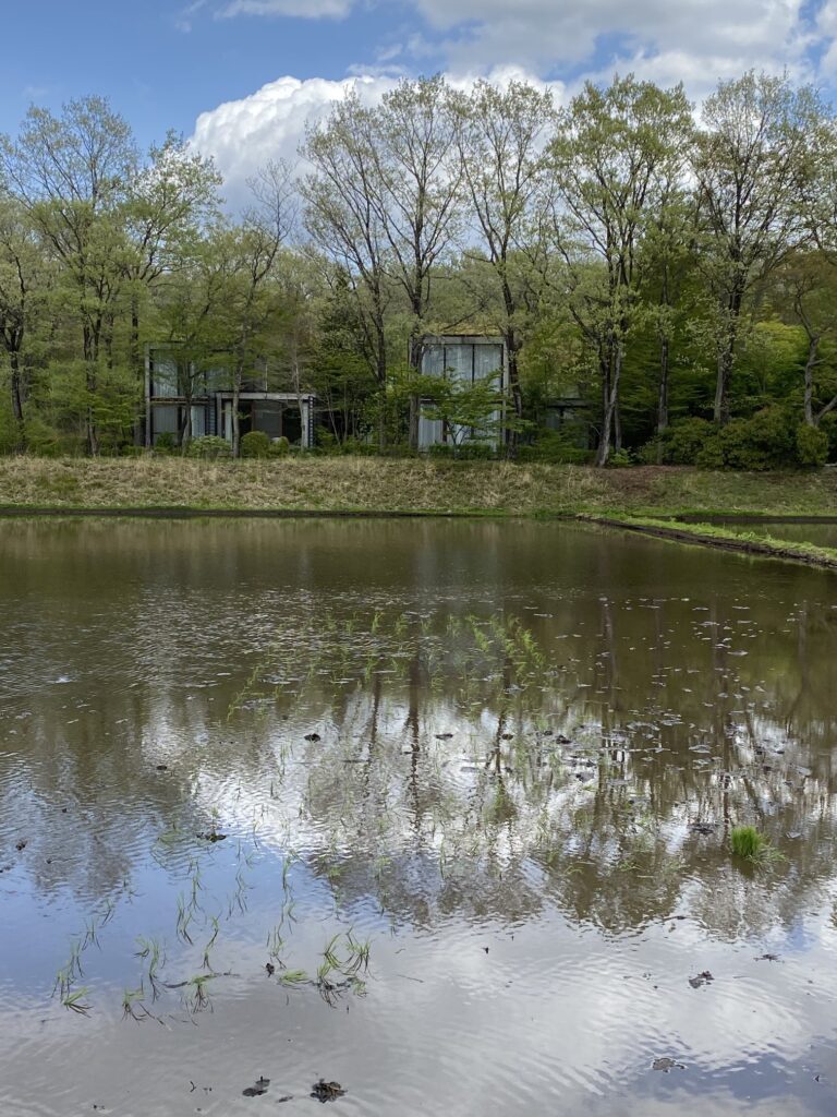 リゾナーレ那須の過ごし方~ 田植え体験「お米の学校」