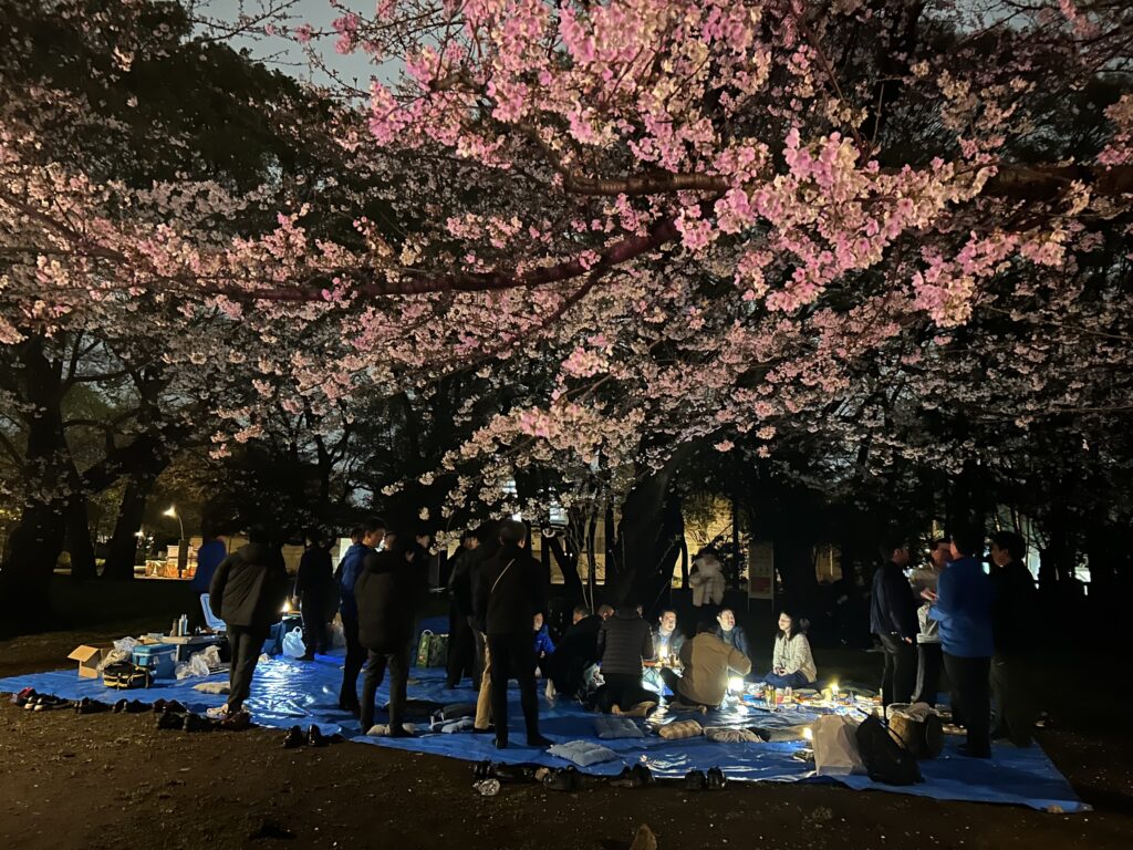 外国人に人気の日本らしい体験：お花見