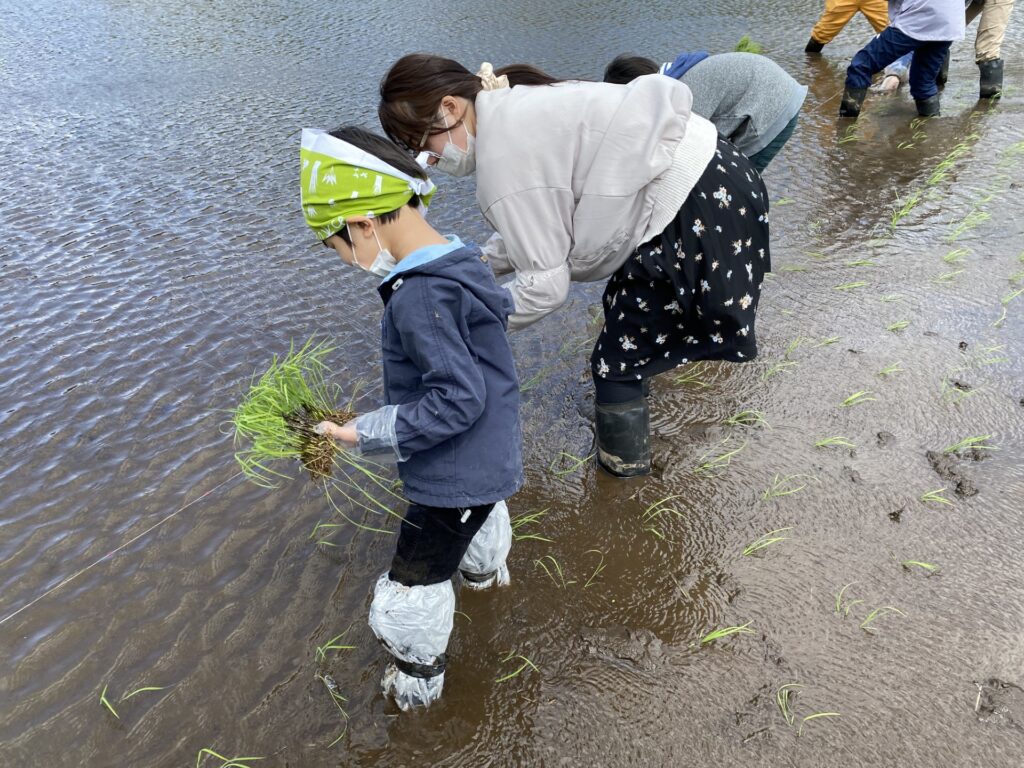 星野リゾート リゾナーレ那須~敷地内の田んぼで田植え体験「お米の学校」