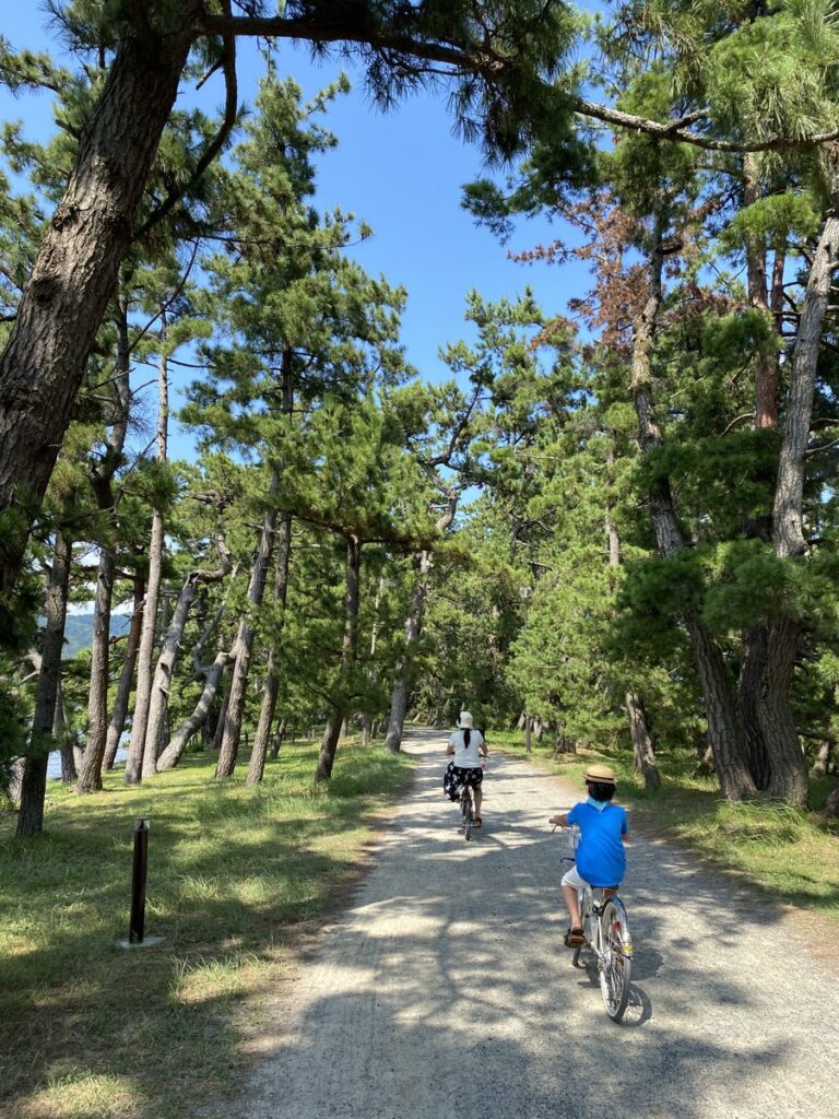 天橋立の砂嘴を走るちゃりぼー