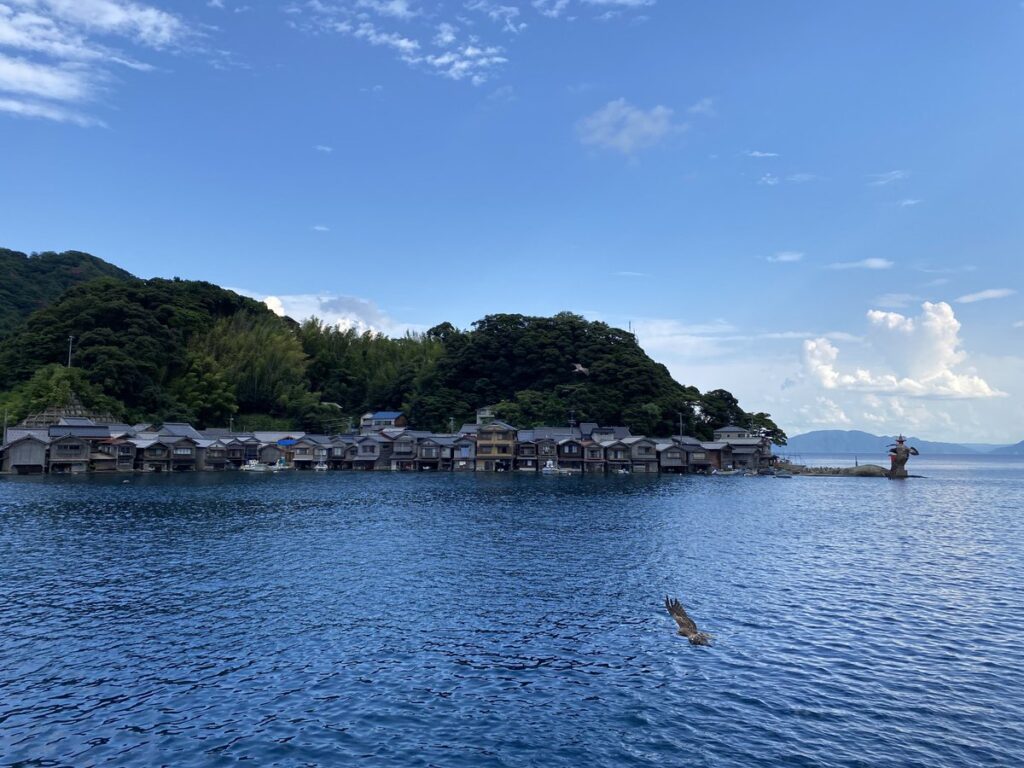 伊根湾めぐり遊覧船から望む舟屋群