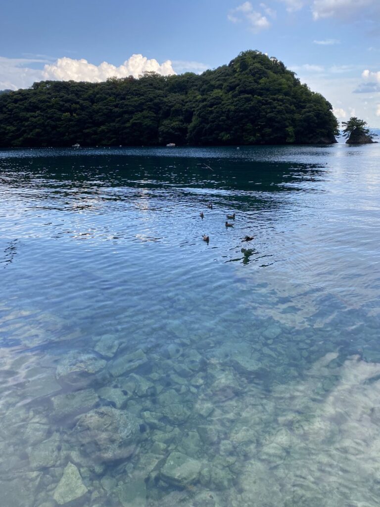 伊根湾の透明な海と海中のウニ