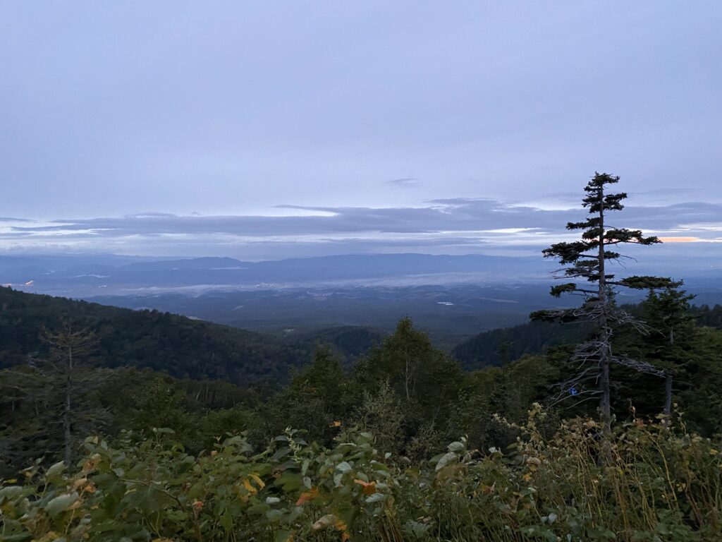 旅行記の写真2