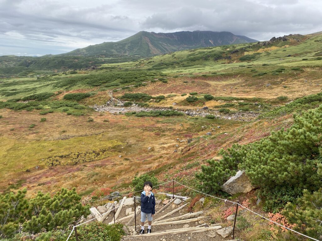 旭岳から裾合平方面を望む景色