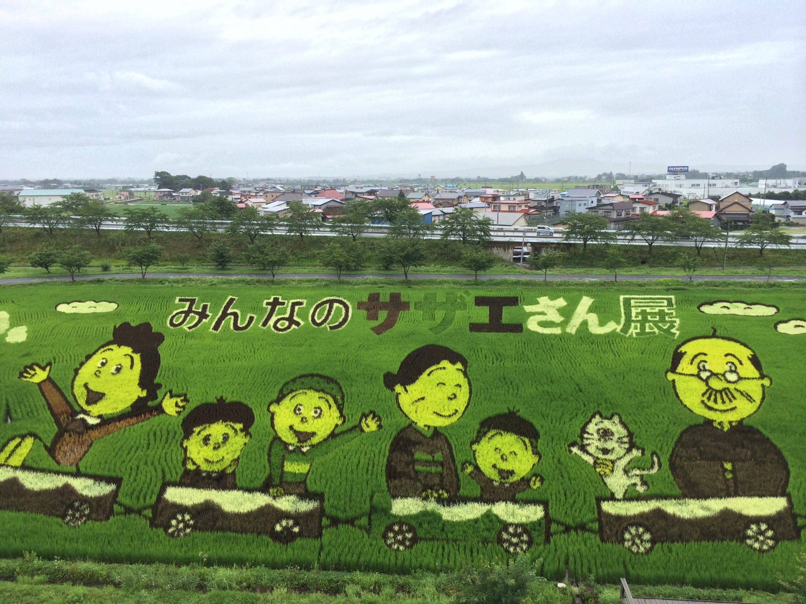 田舎館村の田んぼアート
