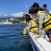 リゾナーレ熱海：「Fisherman's CLUB～漁師と自由研究編～」