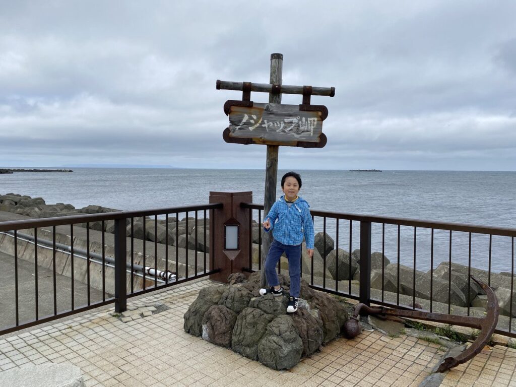 ノシャップ岬から望む海