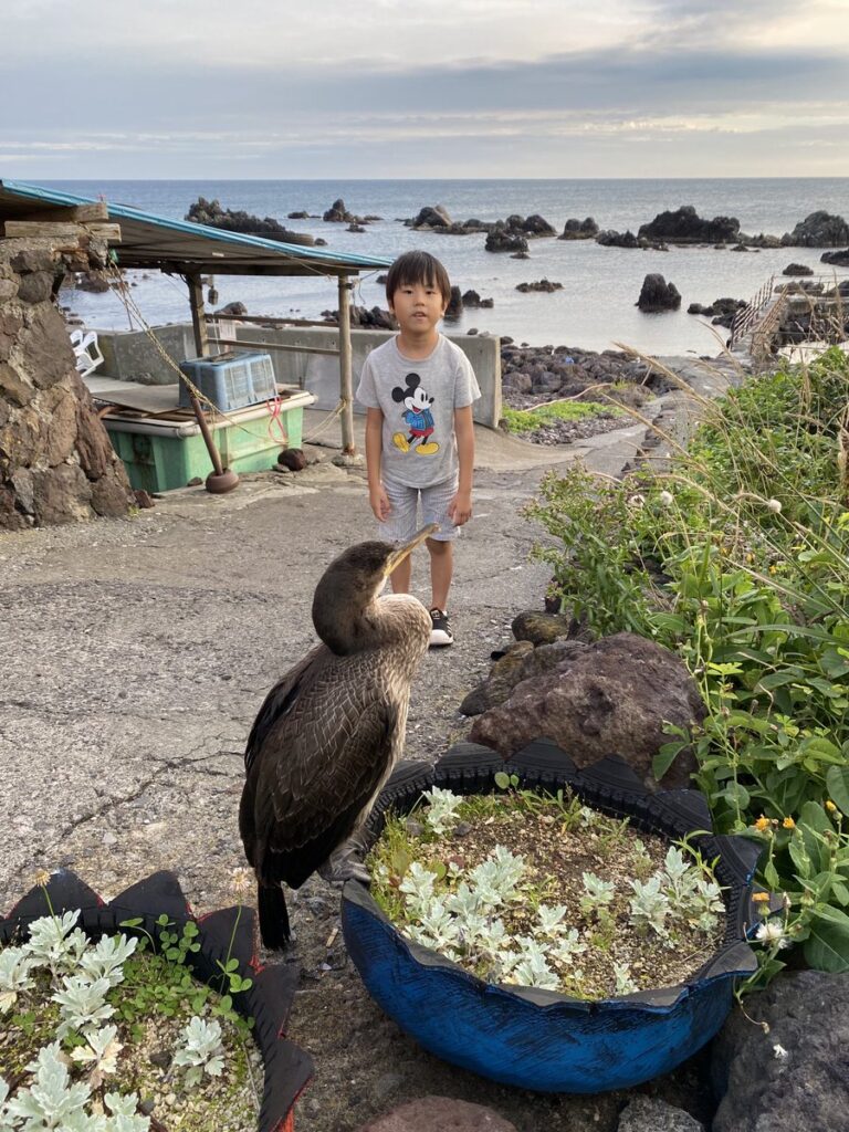 仙法志御崎公園にいたウミウ