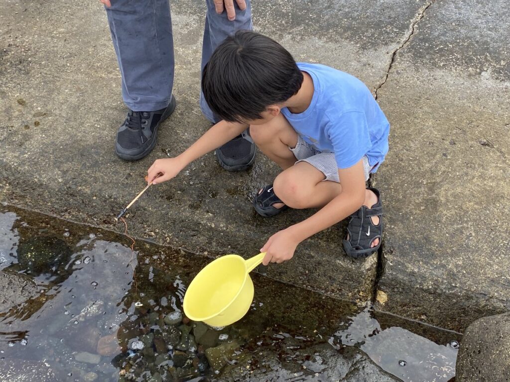 神居海岸パークで無料のカニ釣りを楽しむ様子|二枚貝を餌にして挑戦する神居海岸パークのカニ釣り