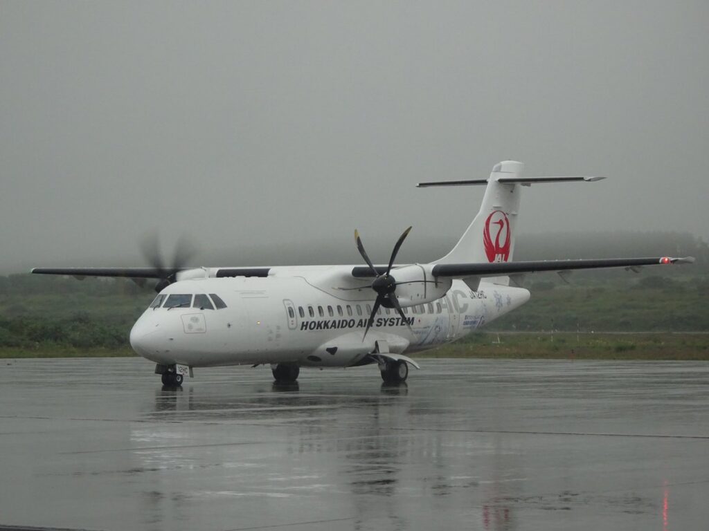 悪天候の利尻空港に着陸した丘珠発の飛行機