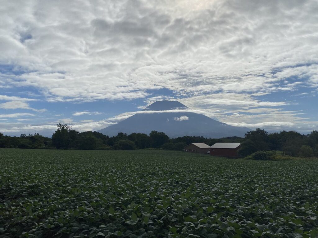 ニセコの朝に望む羊蹄山の勇姿