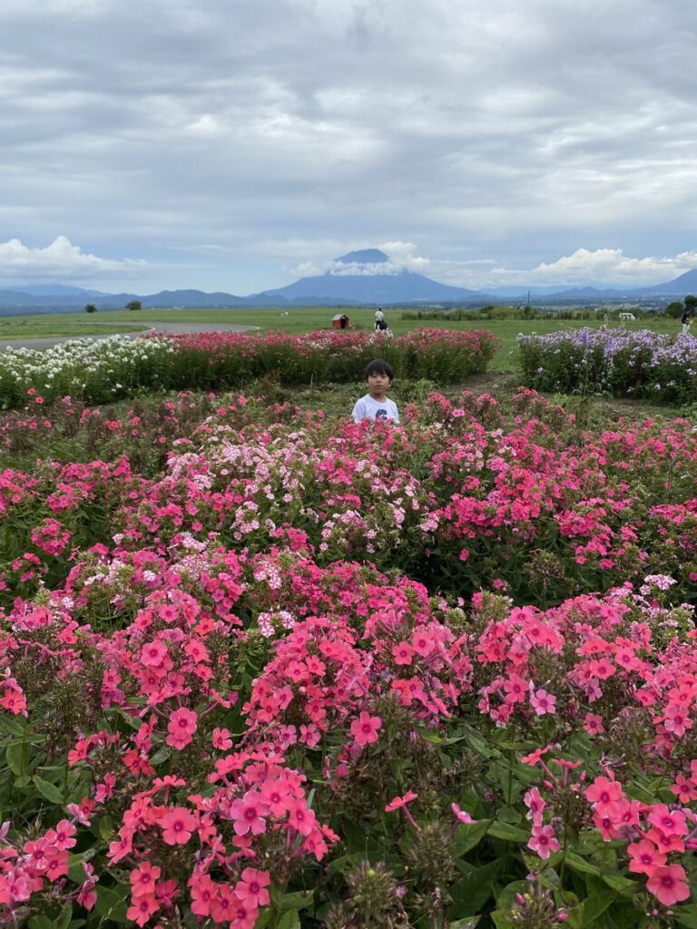 サイロ展望台近くのレークヒル・ファーム
