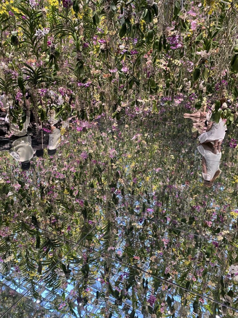 チームラボプラネッツ「Floating Flower Garden」