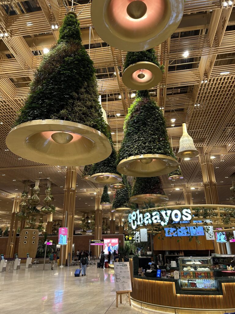 インドe-VISA申請完全ガイド・第三国からインドで乗り継いで帰国する際の注意点