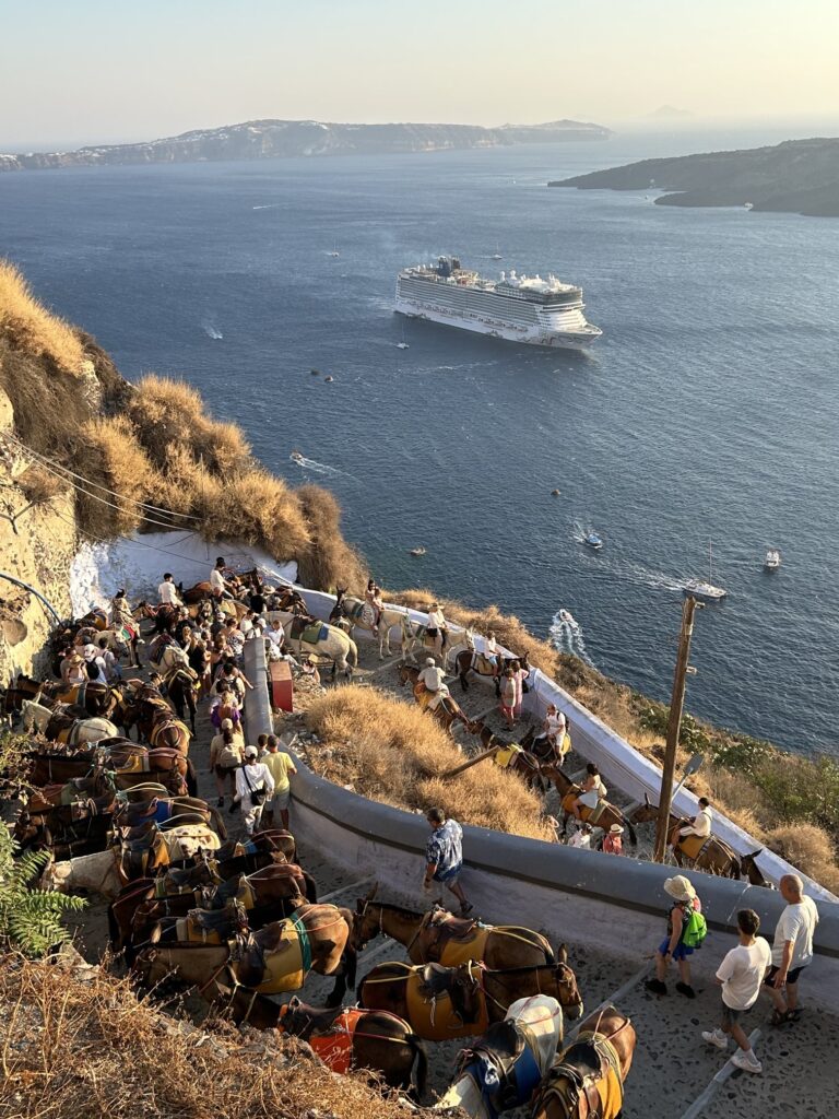 サントリーニ島・もの凄い数のロバが行き交う、フィラの「ロバの道」