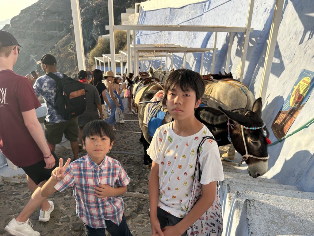 サントリーニ島・もの凄い数のロバが行き交う、フィラの「ロバの道」