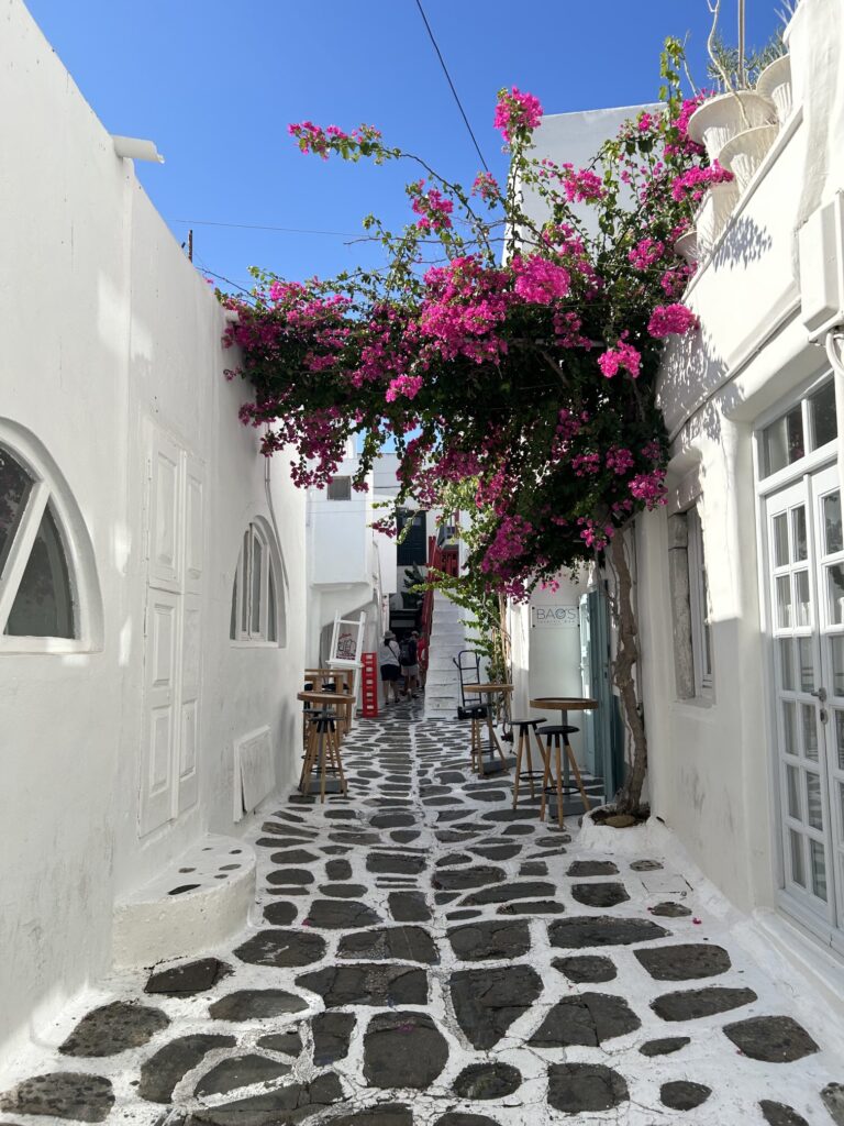 エーゲ海クルーズ（ノルウェージャン・エピック）：白壁の建物と青い空に映える、赤いブーゲンビリア