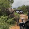 「ウダワラウェ国立公園」で、スリランカ初サファリ