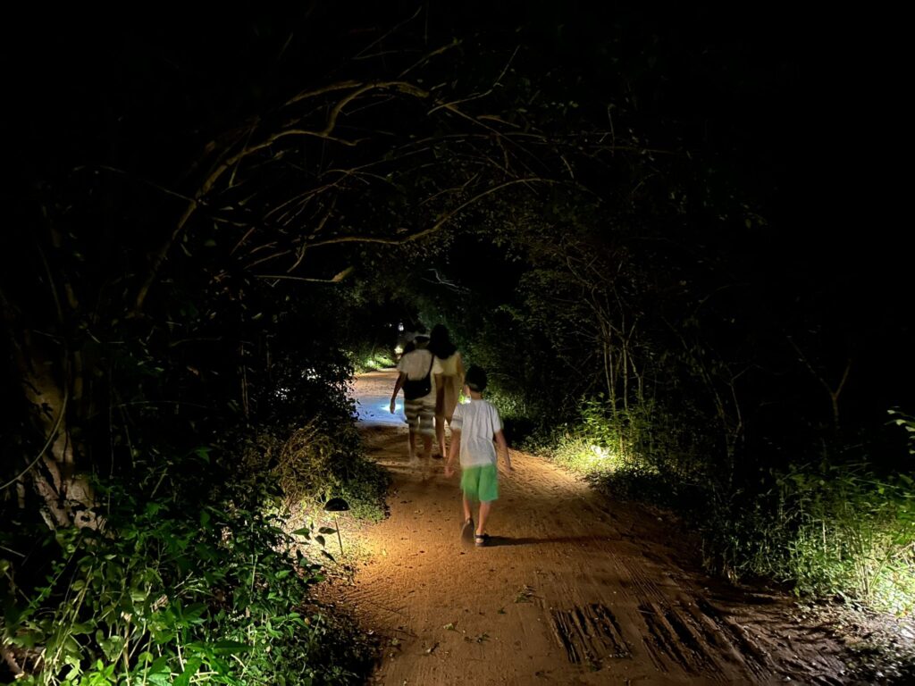 夜明け前に「ヤーラ国立公園」の終日ゲームサファリへ出発
