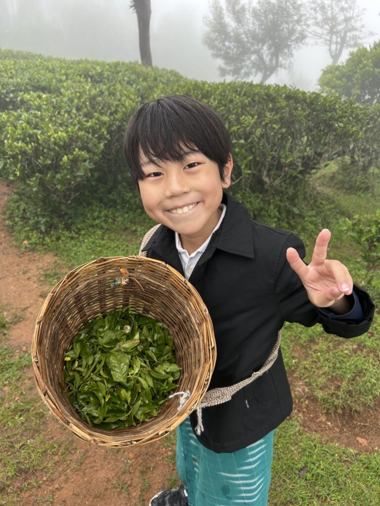 Heritance Tea Factoryで体験する「ティープラッキング（紅茶摘み体験）