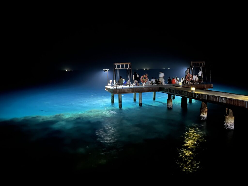 夜は、マンタを拝みに「Sun Siyam Olhuveli」の「Dive Center」へ