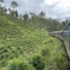 紅茶鉄道「Dunhinda Odyssey（ドゥンヒンダ・オデッセイ）」に乗り込み、茶畑を走り抜ける！