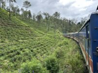 紅茶鉄道「Dunhinda Odyssey（ドゥンヒンダ・オデッセイ）」に乗り込み、茶畑を走り抜ける！