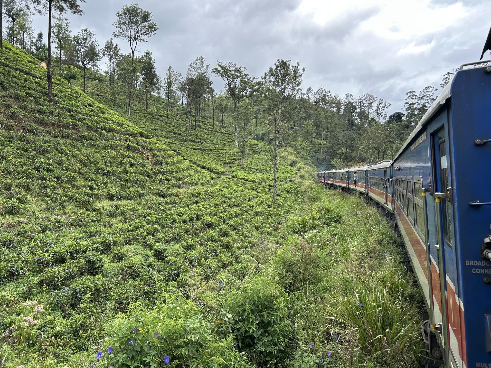紅茶鉄道「Dunhinda Odyssey（ドゥンヒンダ・オデッセイ）」に乗り込み、茶畑を走り抜ける！