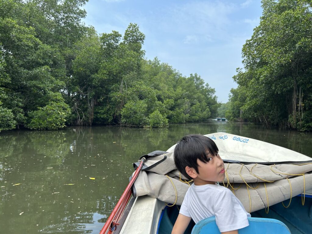 Bentota River Safariで進むマングローブに囲まれた支流