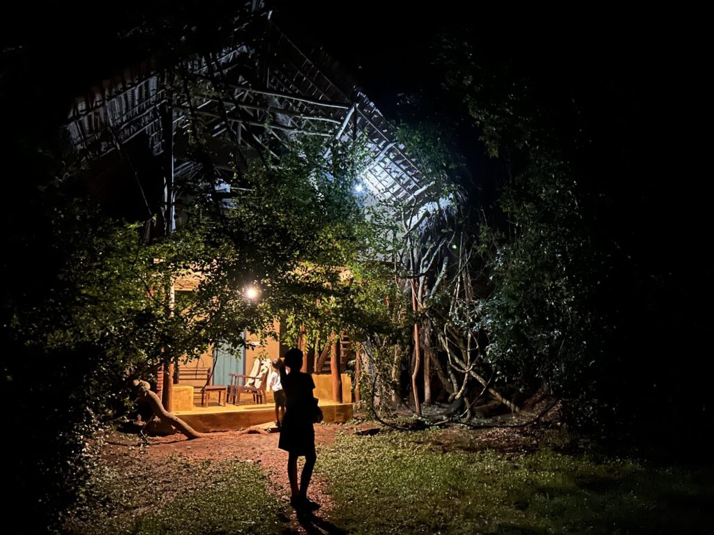 ツリーハウス「Back of Beyond - Wild Heaven」に泊まる