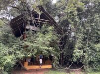 ツリーハウス「Back of Beyond - Wild Heaven」に泊まる